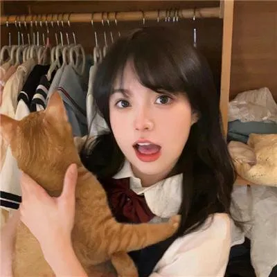 国产精品朝堂安邦《安邦良臣》全集 - 良臣辅佐安邦